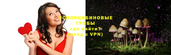 дурь Липки