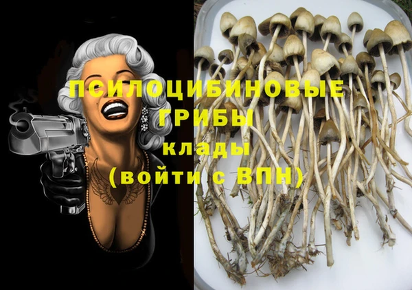 твердый Лиски