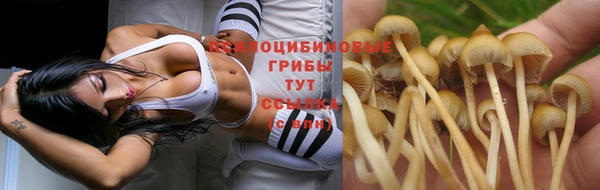 метамфетамин Майский