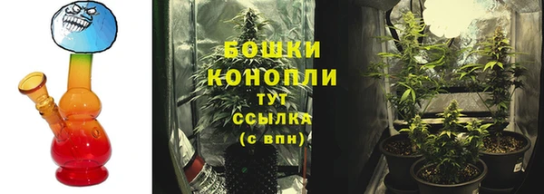 твердый Лиски