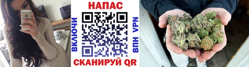 Марихуана сатива  купить наркоту  Никольск 